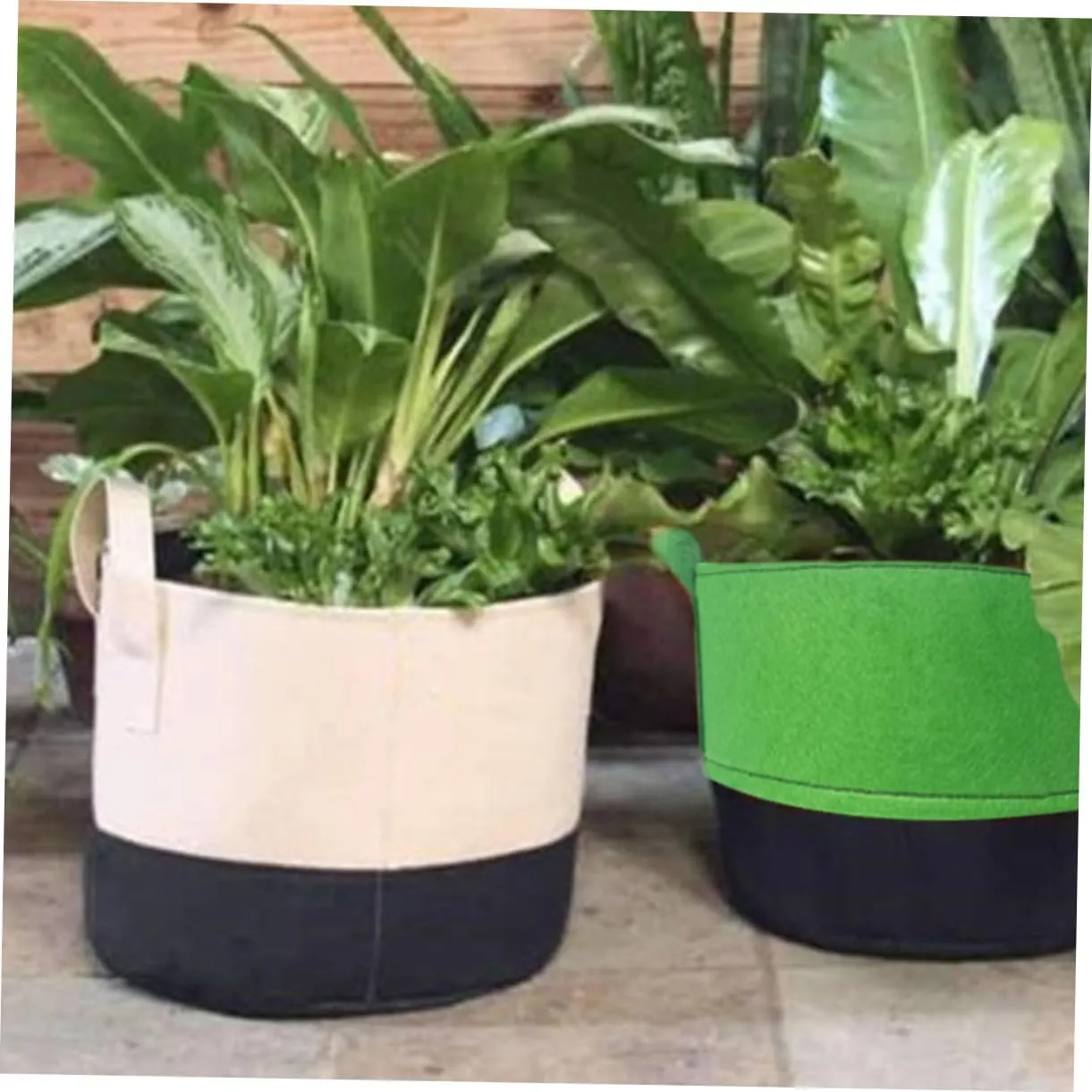 6pcs Plant Growing Bags Garden Fleece Bags for Plants Portable Nursery Pouch Root Formation Bags Fabric Pots for Home Use