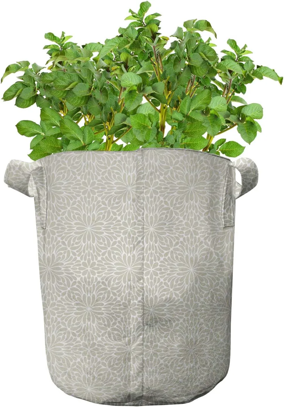Ambesonne Damask Grey Grow Bags 5-Pack, Flourish Leafy Pattern, Heavyduty Fabric Pots with Handles for Plants, Grey Yellow and White