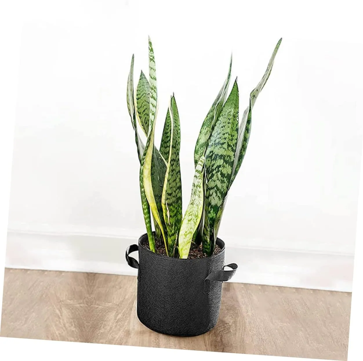 KESYOO 5pcs Grow Bag Fabric Growing Horticultural Bags Grower and Raise Grown Nursery Planting Gardening Indoor Potting for Plants Flower Planter Non-Woven Bag Non-Woven Planter