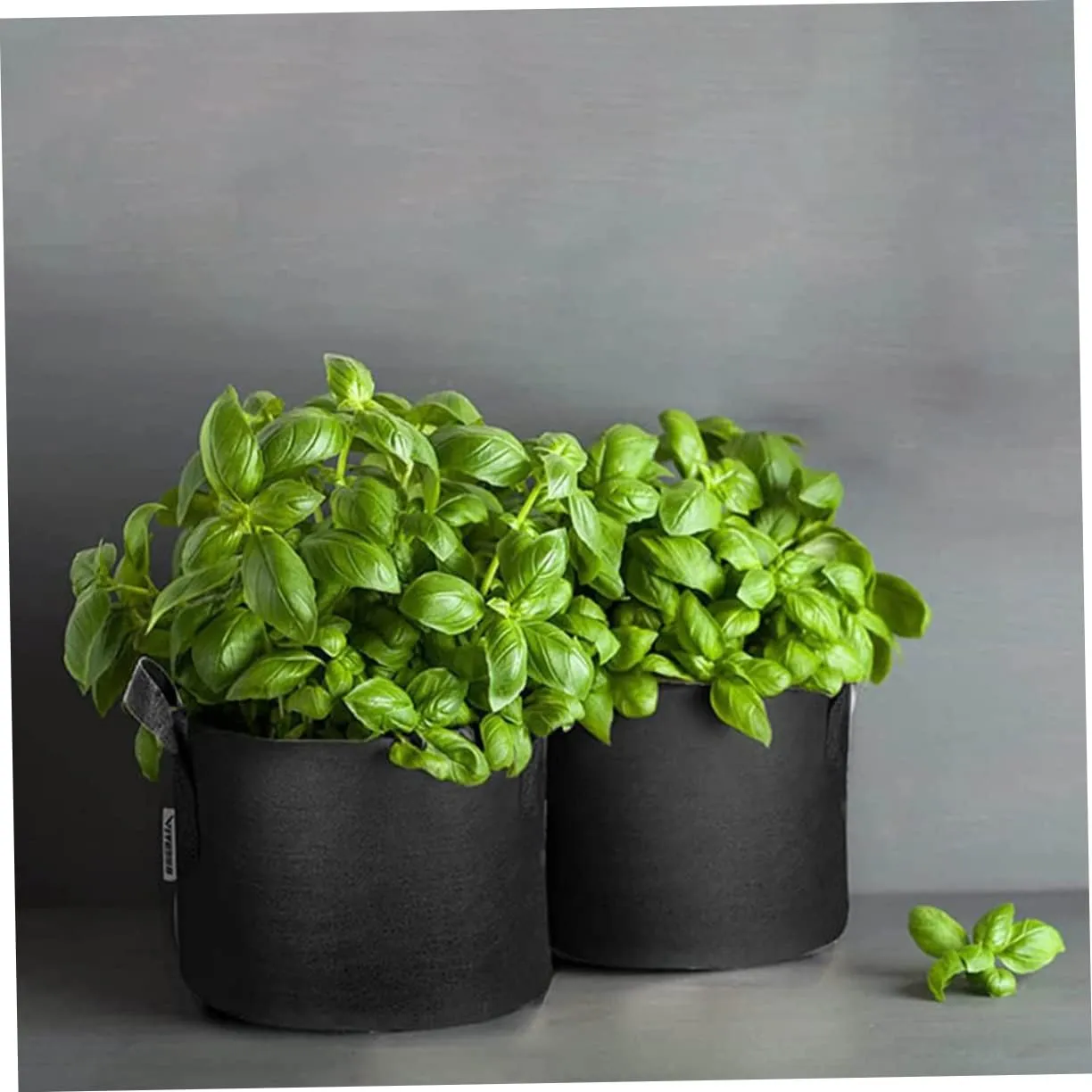 KESYOO 5pcs Grow Bag Fabric Growing Horticultural Bags Grower and Raise Grown Nursery Planting Gardening Indoor Potting for Plants Flower Planter Non-Woven Bag Non-Woven Planter