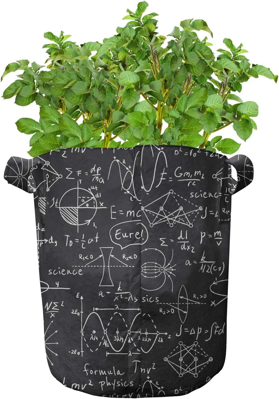 Lunarable Science Grow Bags 5-Pack, Scientific Calculation Sign, Heavyduty Fabric Pots with Handles for Plants, 7 Gallon, Black and White