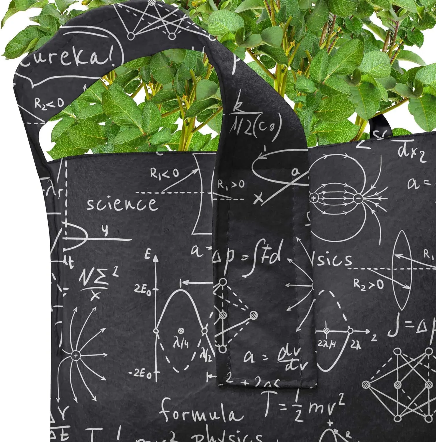 Lunarable Science Grow Bags 5-Pack, Scientific Calculation Sign, Heavyduty Fabric Pots with Handles for Plants, 7 Gallon, Black and White