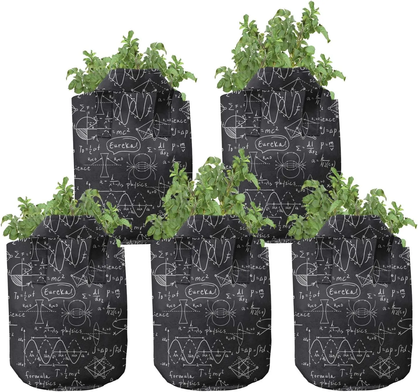 Lunarable Science Grow Bags 5-Pack, Scientific Calculation Sign, Heavyduty Fabric Pots with Handles for Plants, 7 Gallon, Black and White