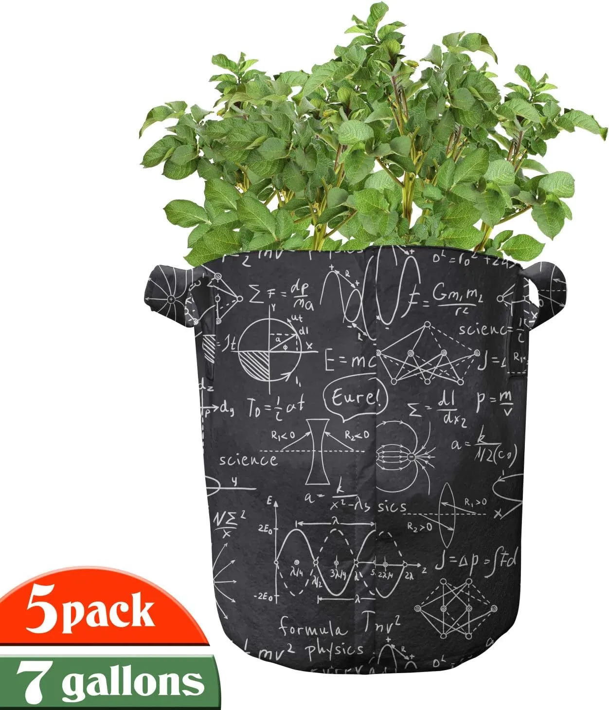 Lunarable Science Grow Bags 5-Pack, Scientific Calculation Sign, Heavyduty Fabric Pots with Handles for Plants, 7 Gallon, Black and White