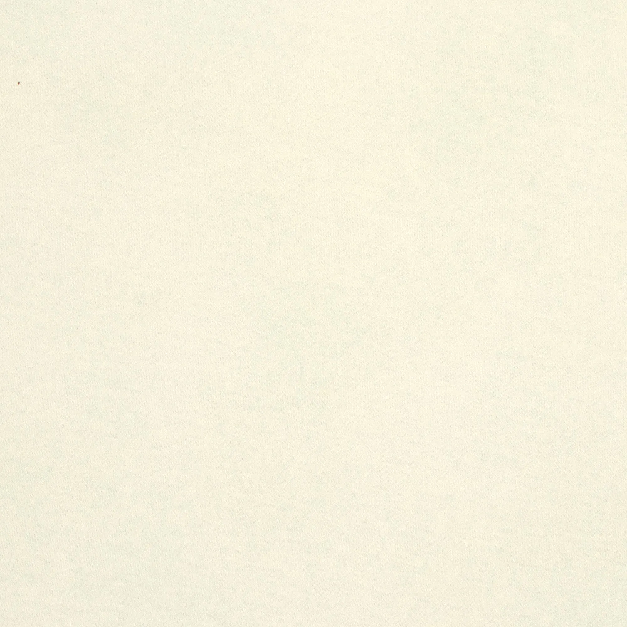 Poly Spandex Knit Cream