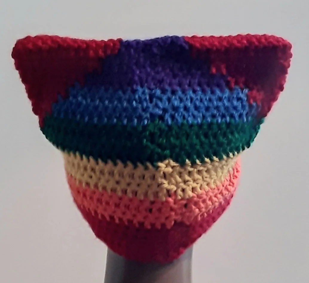 Rainbow Cat Hat
