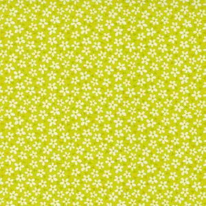 Sweet and Plenty Limeade
