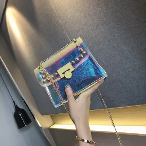 Transparent Silvery Bag
