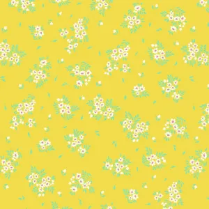 True Colors 2025 Tula Pink  - What a ditz Buttercup